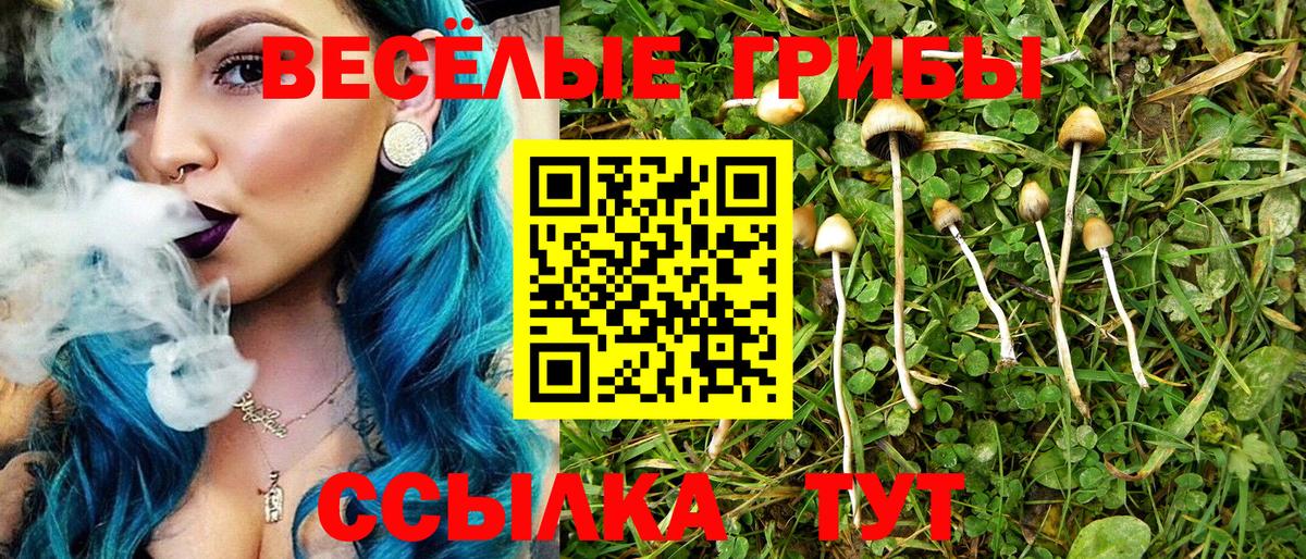 Владивосток  Галлюциногенные грибы ЛСД  магазин    Вход с VPN 